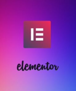 Elementor